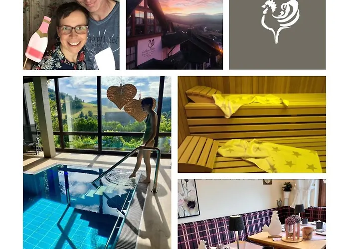 B&B Apart Hotel Goldener Hahn - nahe an Gartenschau Tal X Baiersbronn